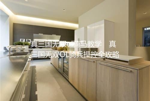真三国无双ol骑马教学　真三国无双OL骑兵操控全攻略