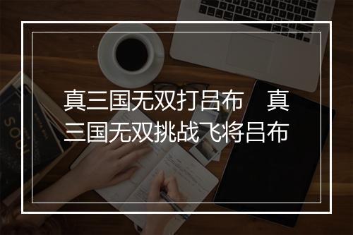 真三国无双打吕布　真三国无双挑战飞将吕布